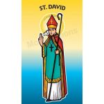 St. David - Roller Banner RB713BY